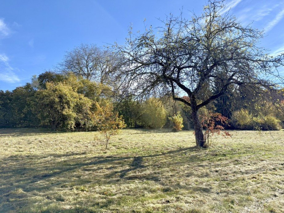 Starnberg Grundst�ck Grundst�ck Starnberg