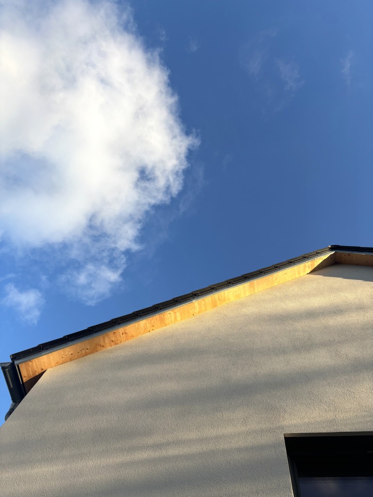 Fassade und Dach Doppelhaush�lfte Starnberg