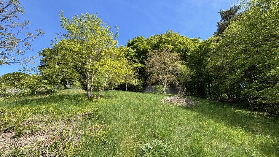 Naturnah bauen in Starnberg Grundst�ck Starnberg