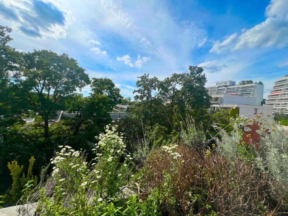 Balkon Ausblick Oben Wohnung M�nchen