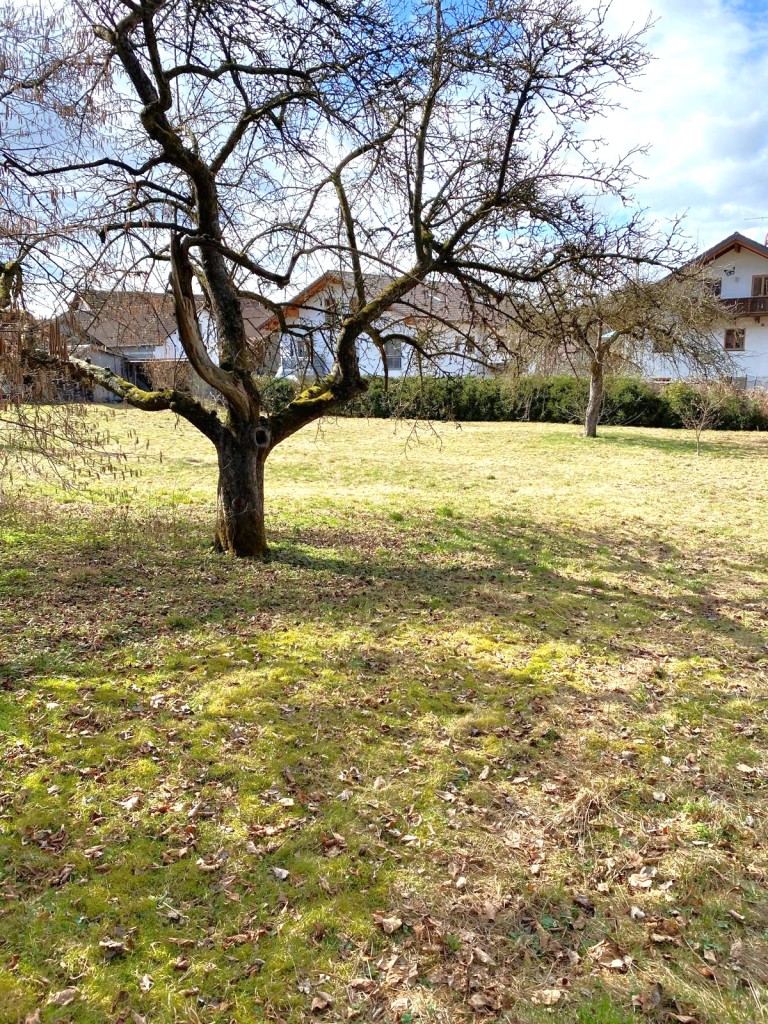 Grundst�ck Starnberg Grundst�ck Starnberg