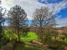 Blick vom 1. OG Kleines Haus - Gro�e Aussichten: Gr�nlage mit Blick zu Wald und Wiesen