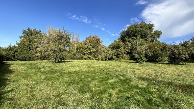 Grundst�ck Starnberg Starnberg - 10809188139 Grundst�ck LANDLIEBE - XXL Grundst�ck mit Bauvorbescheid - 82319 Starnberg - Hadorf