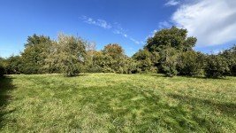 Hauptbild LANDLIEBE - XXL Grundstück mit Bauvorbescheid - 82319 Starnberg - Hadorf