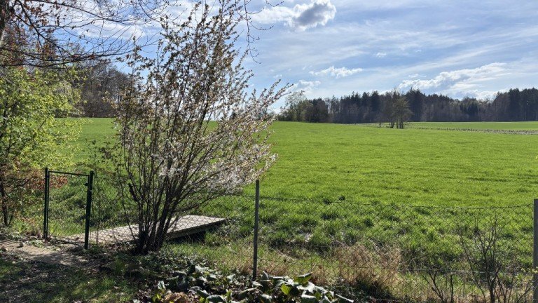 Blick Starnberg Starnberg - 10809188139 Doppelhaush�lfte Sonnenuntergang mit Weitblick auf Wiesen und Wald - Neu gestalten in ruhiger Lage - 82319 Starnberg