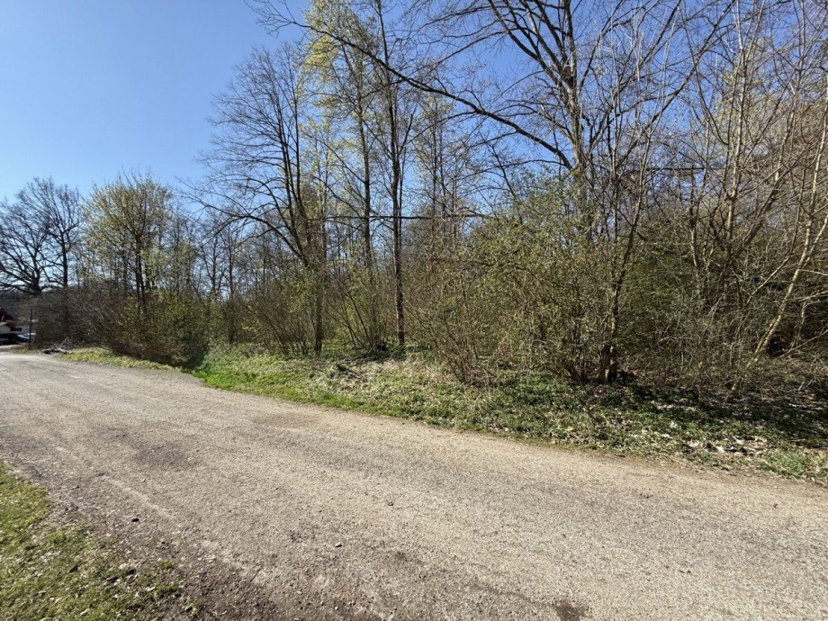 Strassenansicht Grundst�ck Wielenbach